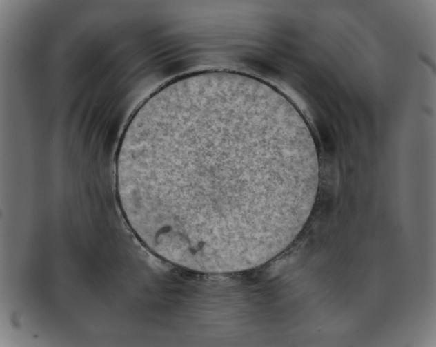 X0000096940807200803071005