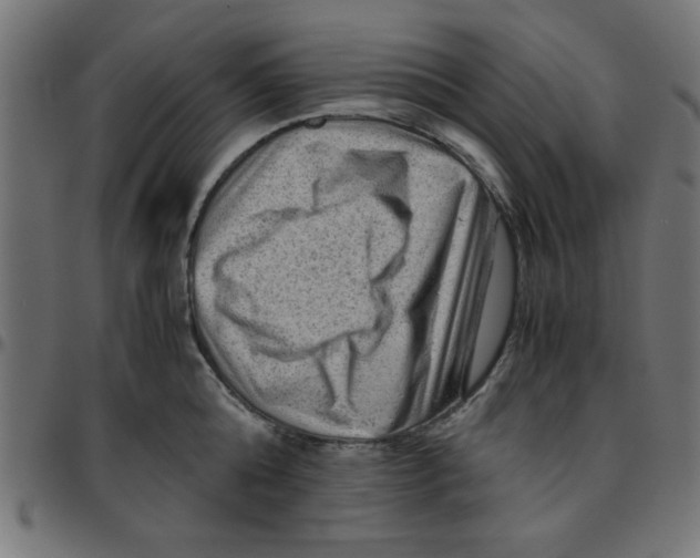 X0000096940808200803071005