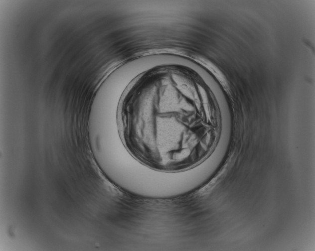 X0000096940809200803071005