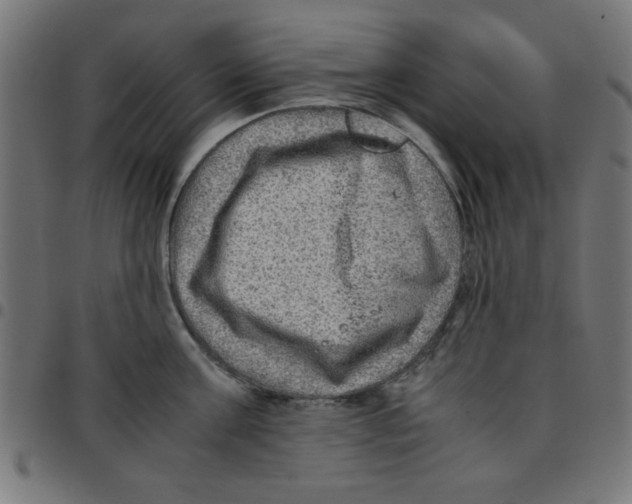 X0000096940811200803071005