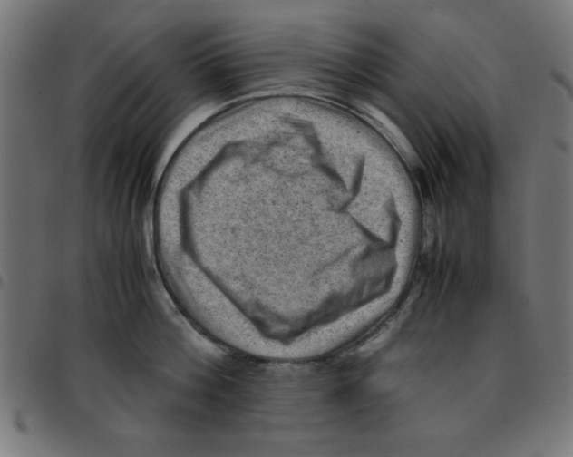X0000096940812200803071005