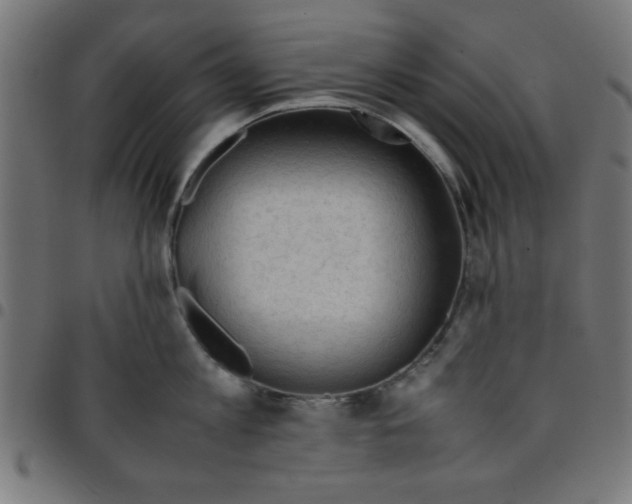 X0000096940813200803071005