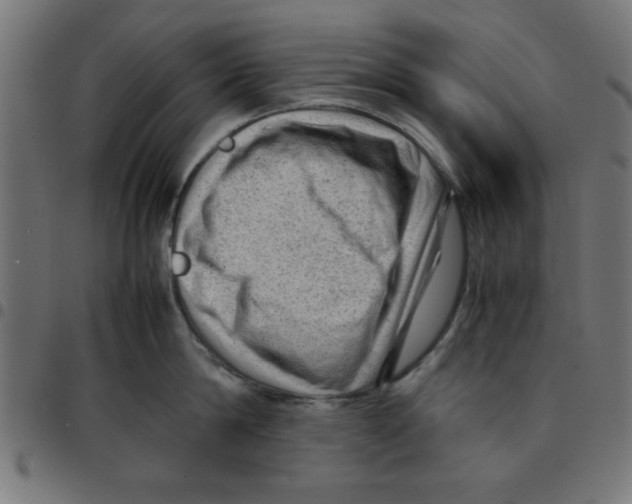 X0000096940814200803071005
