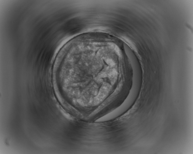 X0000096940816200803071005
