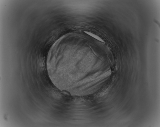 X0000096940818200803071004