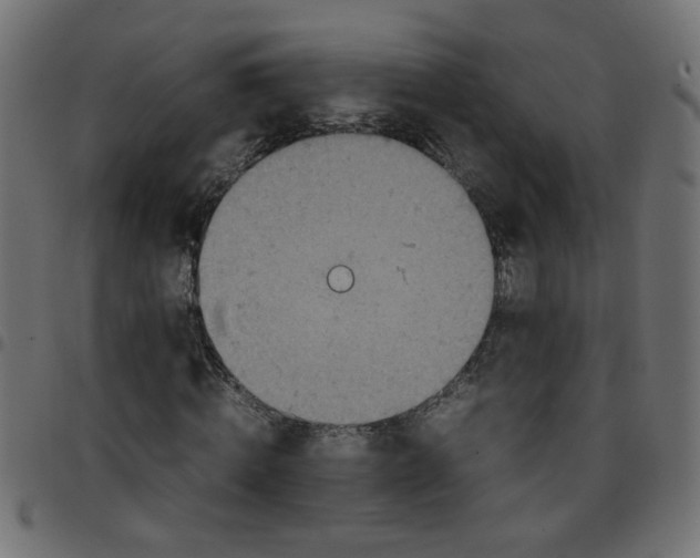 X0000096940820200803071004