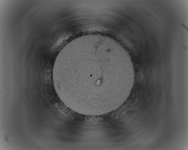 X0000096940824200803071004