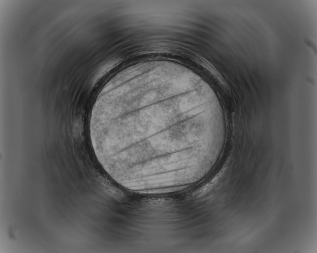 X0000096940826200803071004