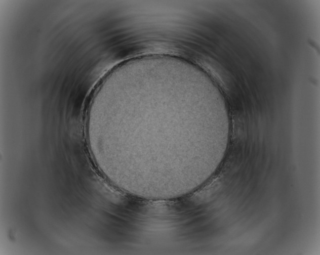 X0000096940828200803071004