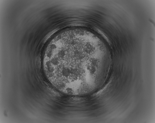 X0000096940829200803071004
