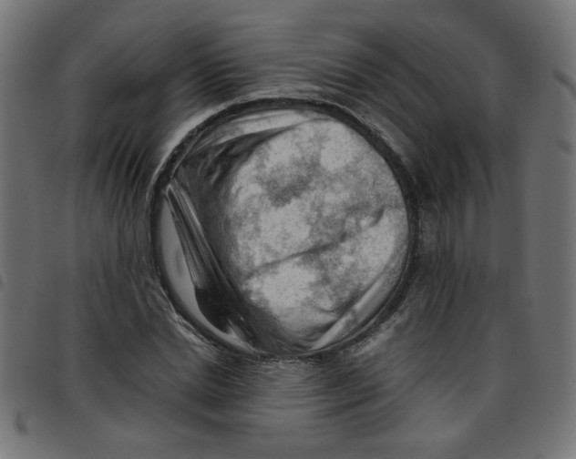 X0000096940830200803071004