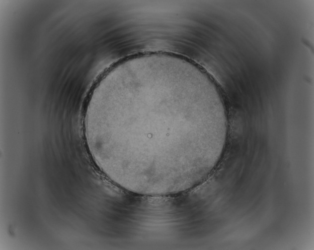X0000096940832200803071004