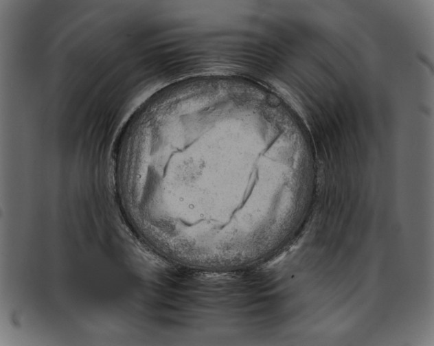 X0000096940835200803071004