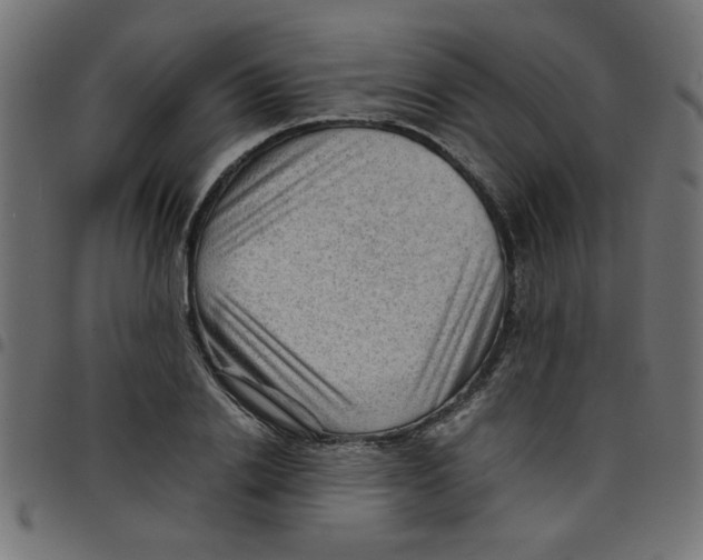 X0000096940838200803071004