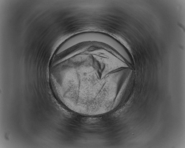 X0000096940839200803071004
