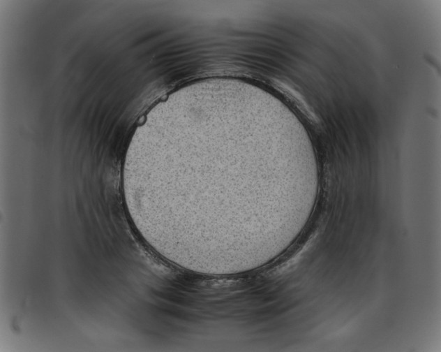 X0000096940841200803071004