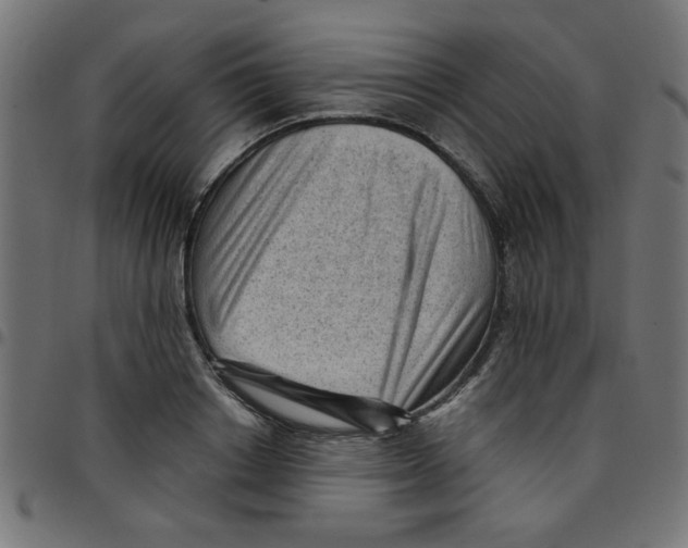 X0000096940842200803071004