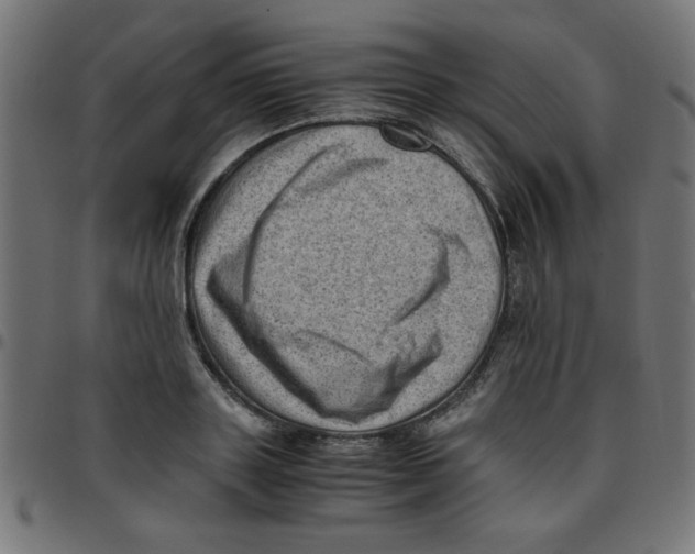 X0000096940843200803071004