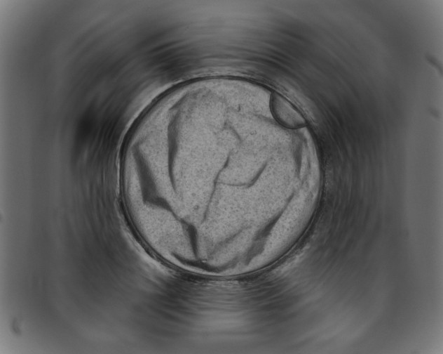 X0000096940844200803071004