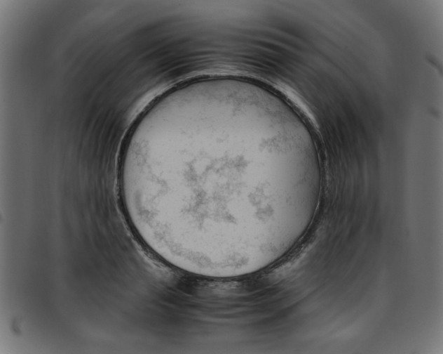 X0000096940845200803071004