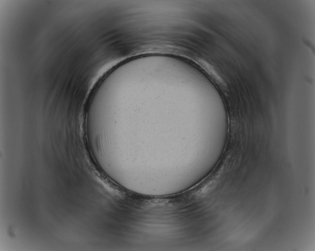 X0000096940846200803071004