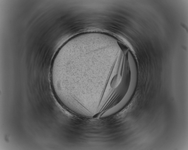 X0000096940847200803071004