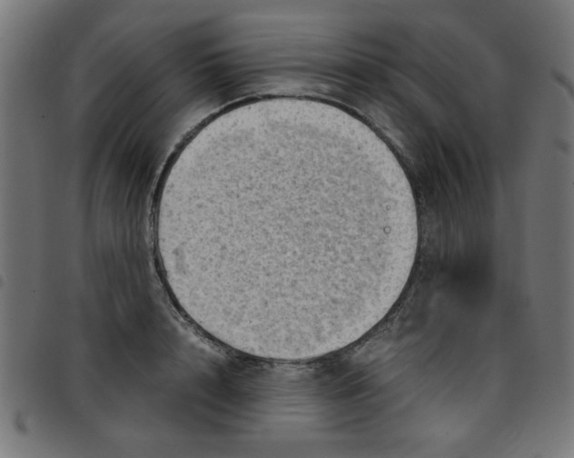 X0000096940848200803071004