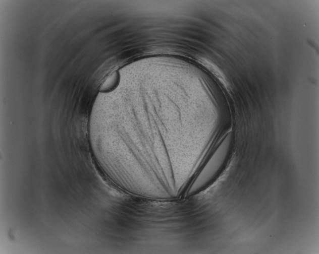 X0000096940849200803071004