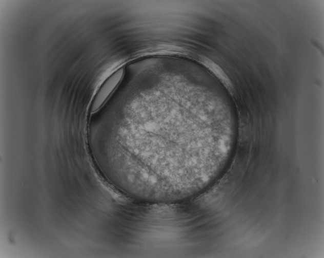X0000096940850200803071004