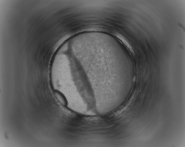 X0000096940853200803071004