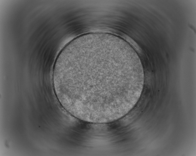 X0000096940856200803071004