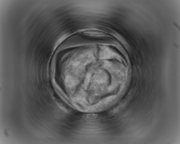 X0000096940858200803071004