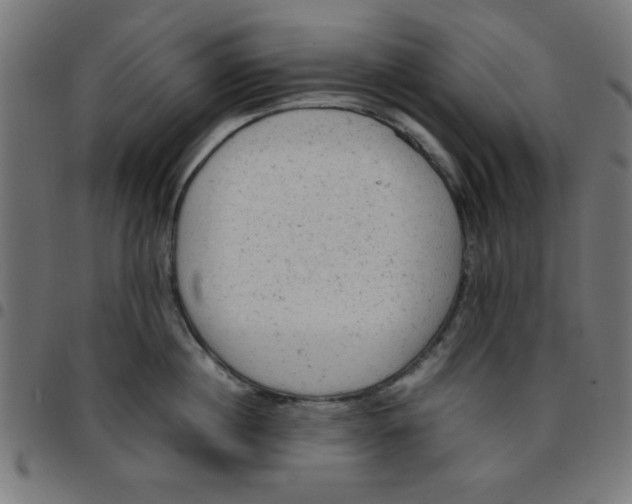 X0000096940860200803071005