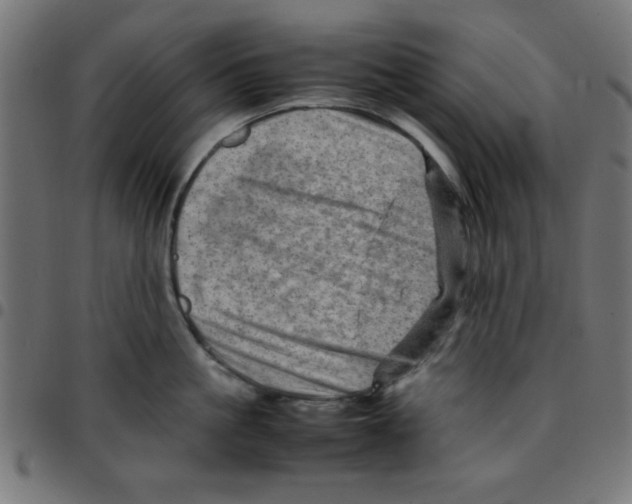 X0000096940861200803071005