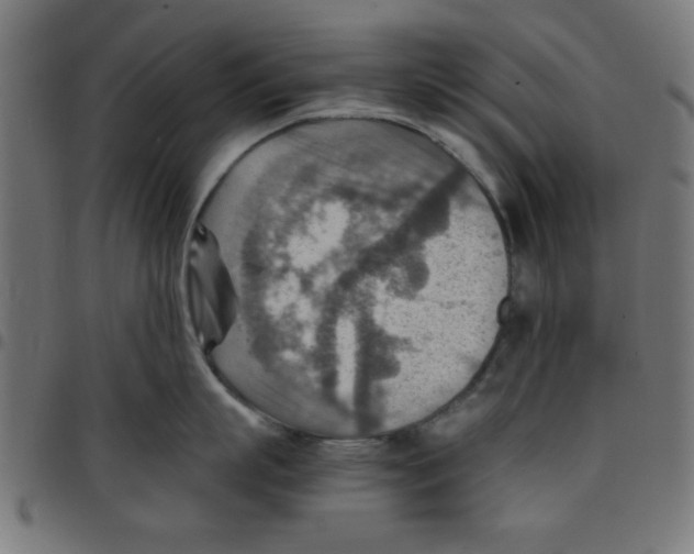 X0000096940863200803071005