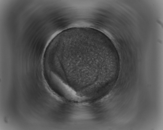 X0000096940864200803071005