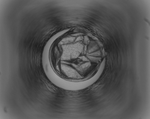 X0000096940868200803071004