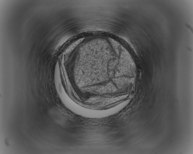 X0000096940871200803071004