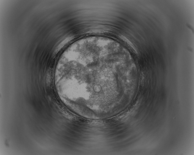 X0000096940874200803071004