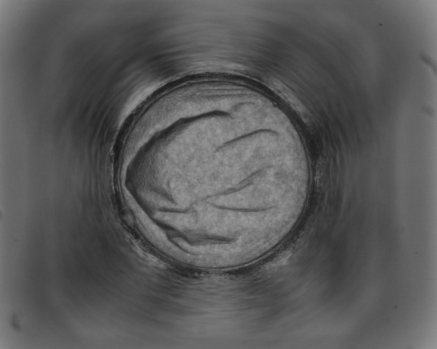 X0000096940877200803071004