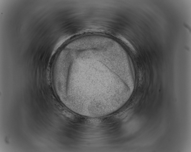 X0000096940878200803071004