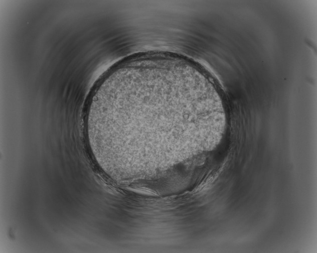 X0000096940879200803071004