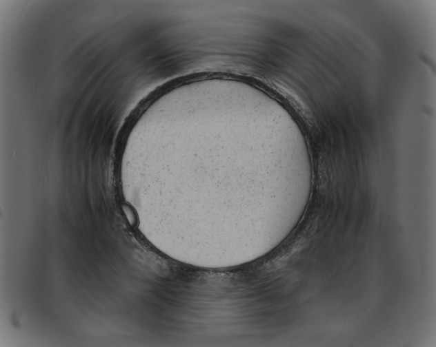 X0000096940880200803071004