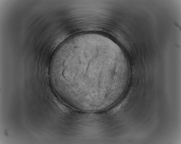 X0000096940881200803071004