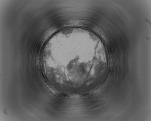 X0000096940882200803071003
