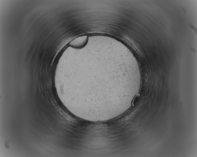 X0000096940884200803071003
