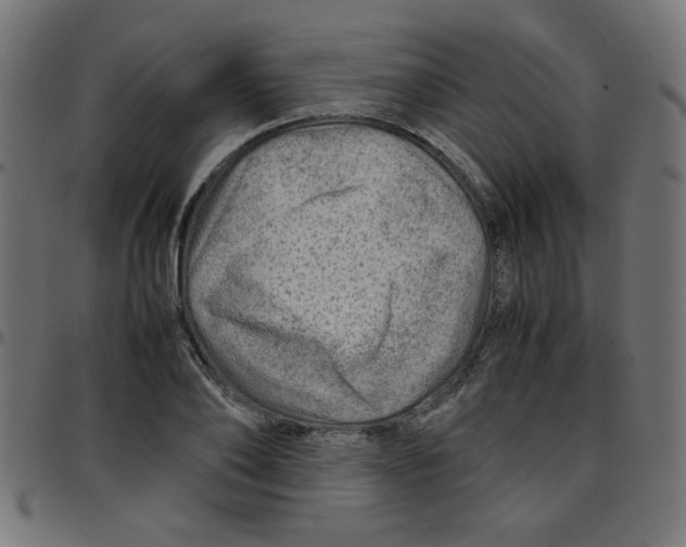 X0000096940886200803071003