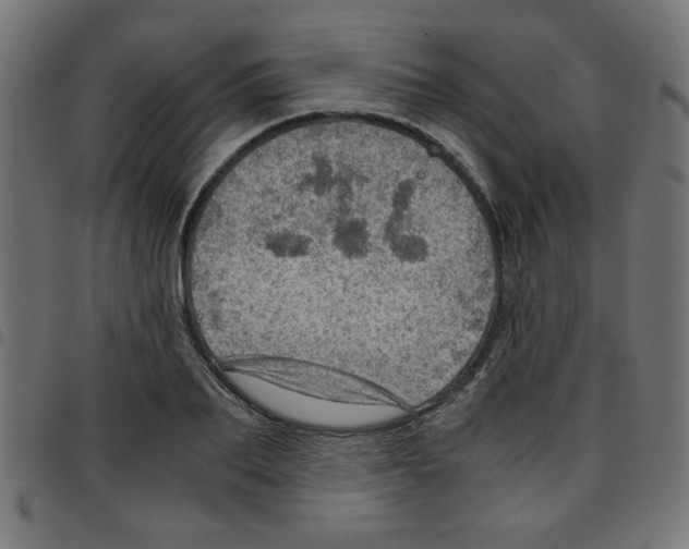 X0000096940887200803071003