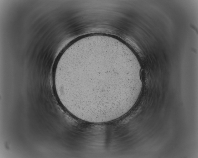X0000096940888200803071003