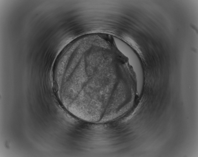 X0000096940892200803071003